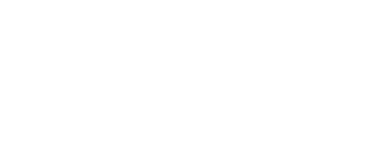 Inservice Adamski Logo